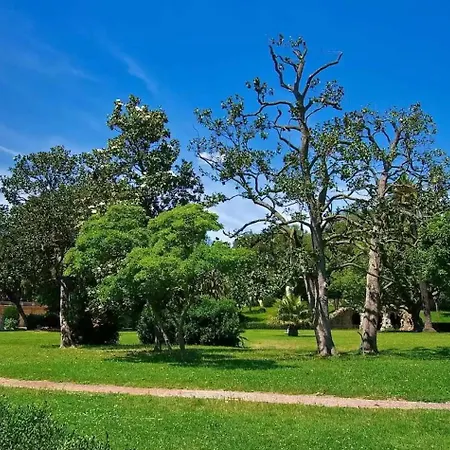 Casa De Mi Zia *